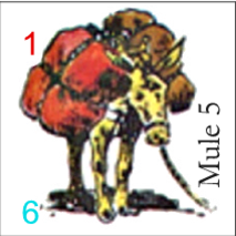 Mule 5
